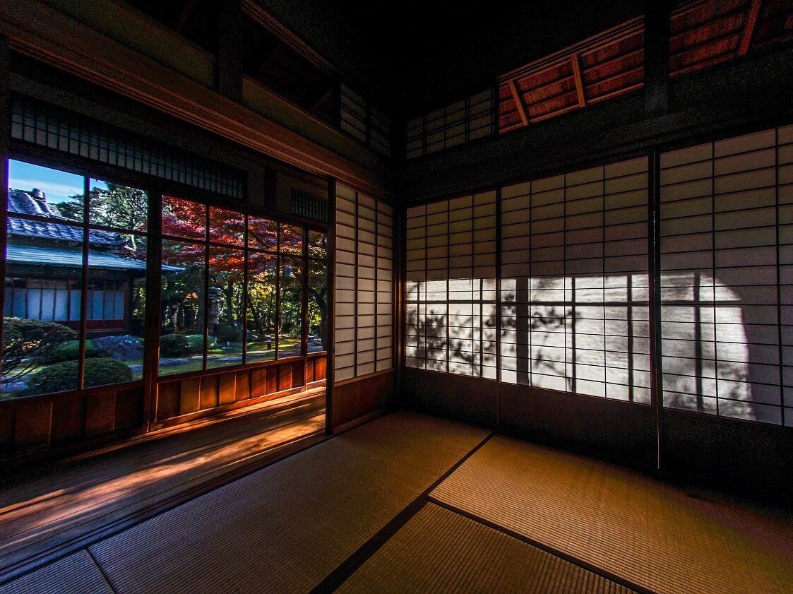 AdobeStock_230017643